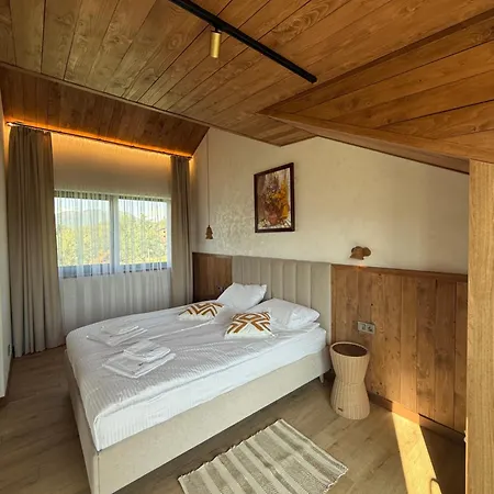 Dzvin Дом отдыха Славское