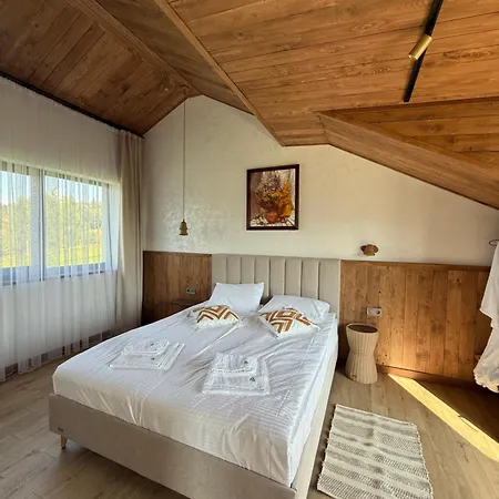 Dzvin Славское