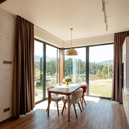 Dom wakacyjny Dzvin *