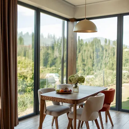 Dzvin Dom wakacyjny *