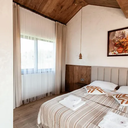 Dzvin Дом отдыха *