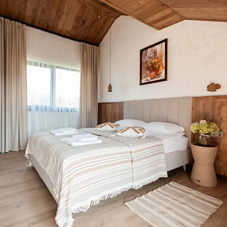 Dzvin Дом отдыха