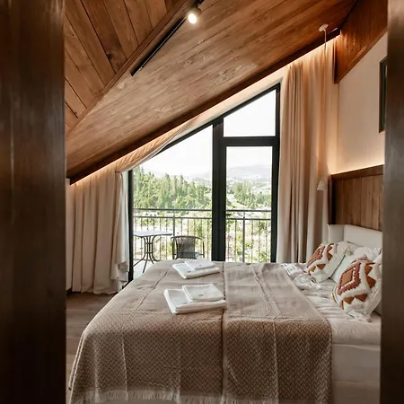 Дом отдыха Dzvin Славское