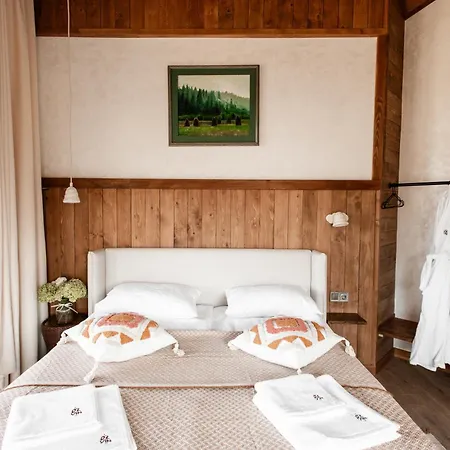 Dom wakacyjny Dzvin Sławsko