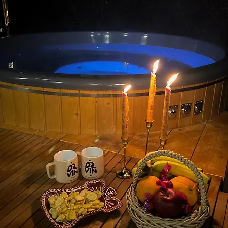 Dom wakacyjny Dzvin *