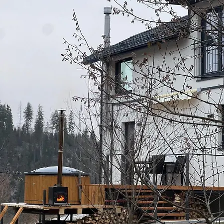 Dom wakacyjny Dzvin *